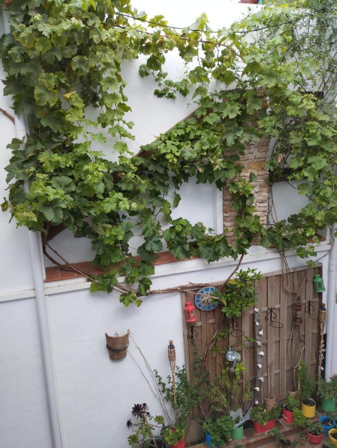ארקוס דה לה פרונטרה Apartamento Eg17 מראה חיצוני תמונה
